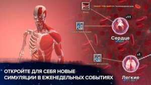 Эволюция никогда заканчивается скриншот