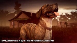 Into the Dead 2 скриншот